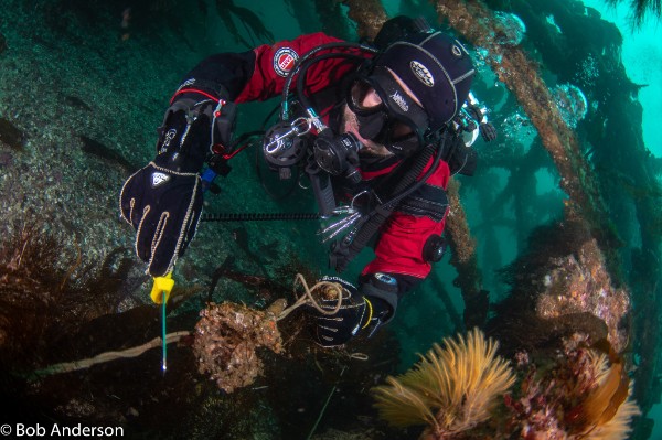 Ghost Fishing UK diver cutting rope in Orkney