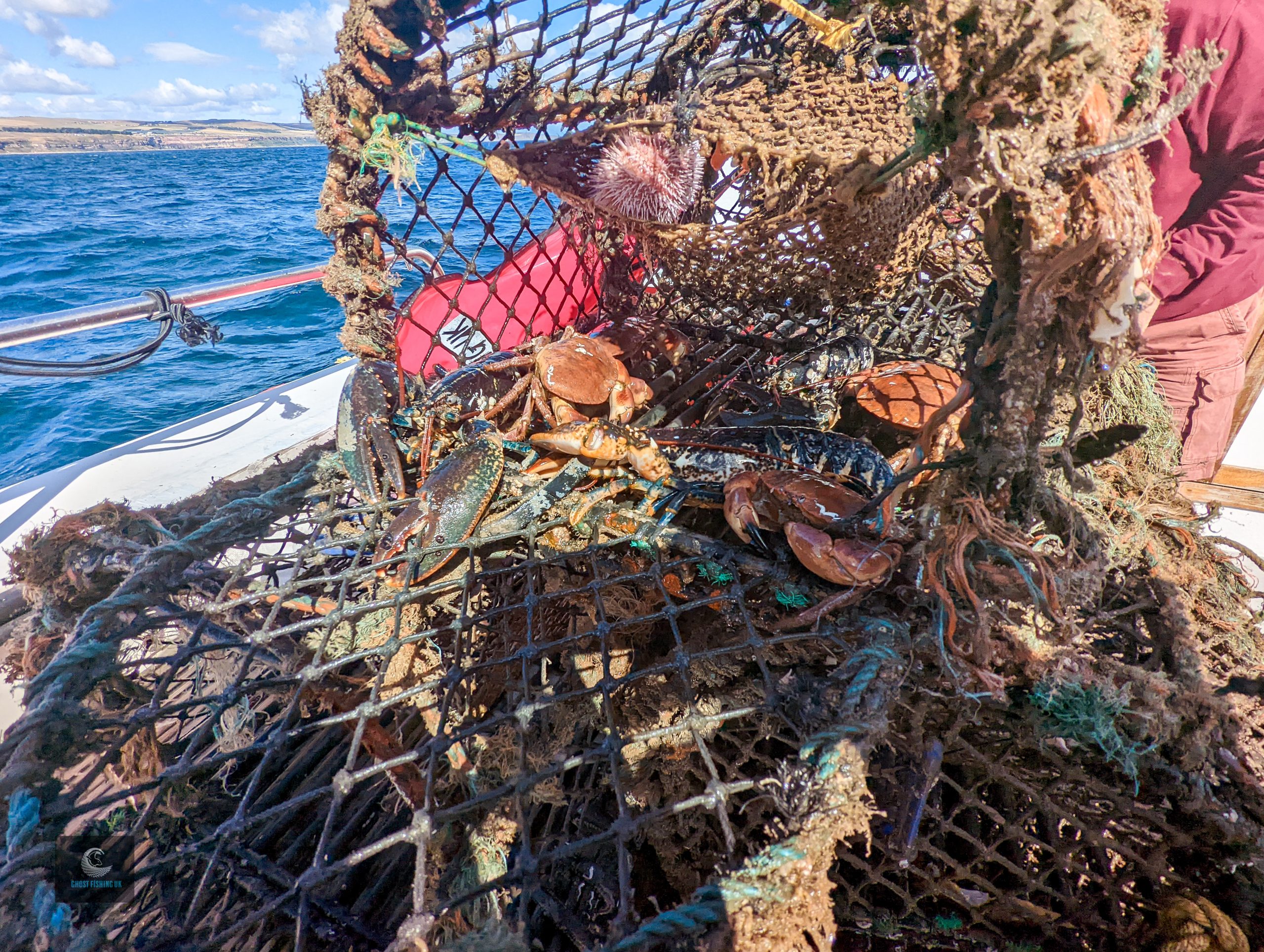 How much ghost gear is in the ocean? - GhostFishing UK