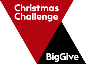 Big Give Christmas Challenge Logo